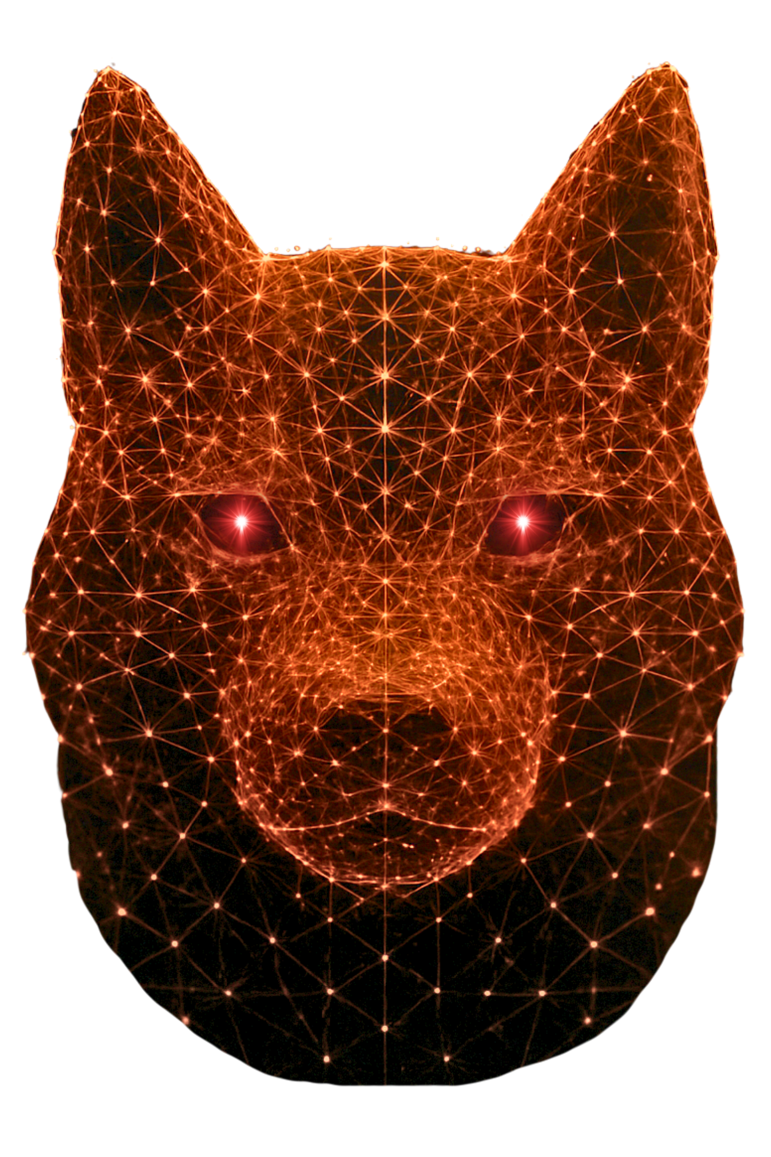 DOG DATA